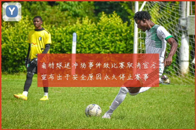 南特球迷冲场事件致比赛取消官方宣布出于安全原因永久停止赛事