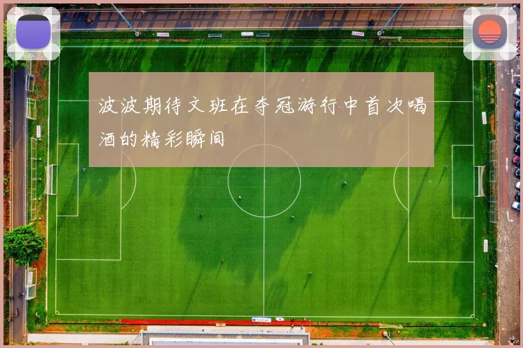 波波期待文班在夺冠游行中首次喝酒的精彩瞬间